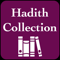 App Icon for Hadith Collection English Urdu App in Pakistan IOS App Store