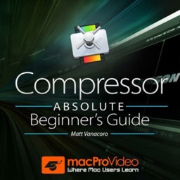 Beginner Guide For Compressor