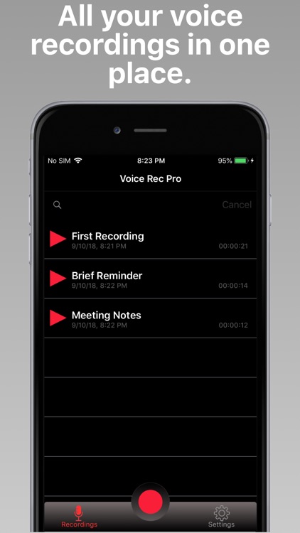 Voice Rec Pro screenshot-0