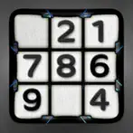 Sudoku Puzzle