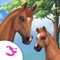 Care for your very own baby foal