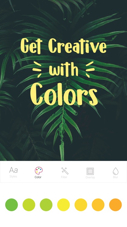 PicsType : Add Text to Photos