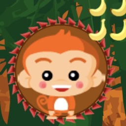 Cute Monkey