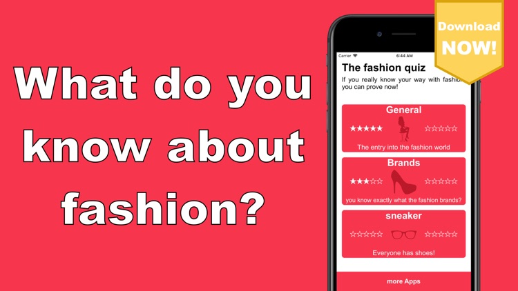 The fashion quiz