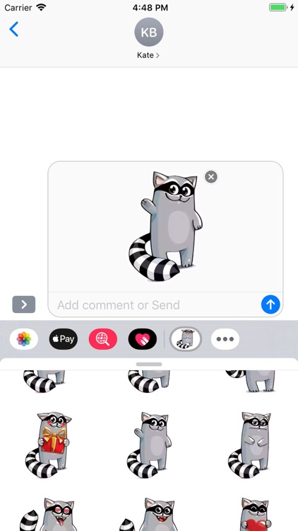 Racoon Stickers Pack screenshot-7