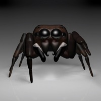 Spider Chord pour PC