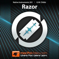 Working with Razor Course pour PC