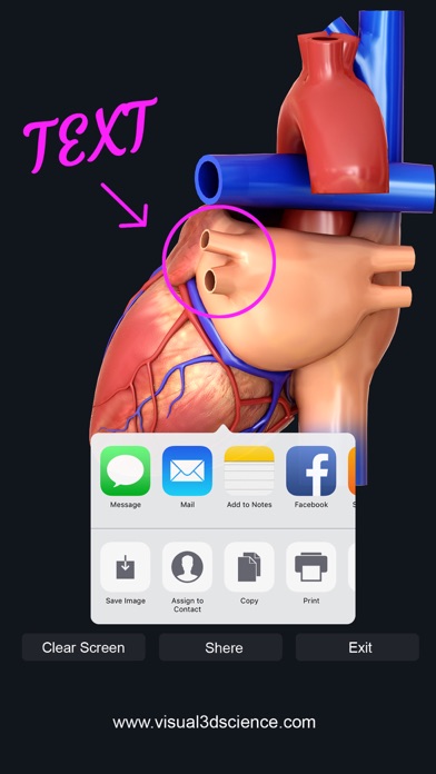 AR Heart Anatomy screenshot 4