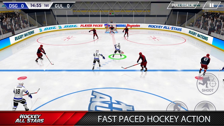Hockey All Stars screenshot-0
