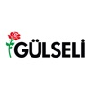 Gülseli