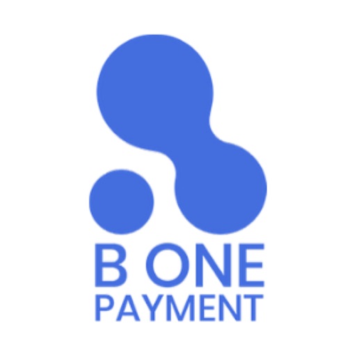 B ONE PAYMENT