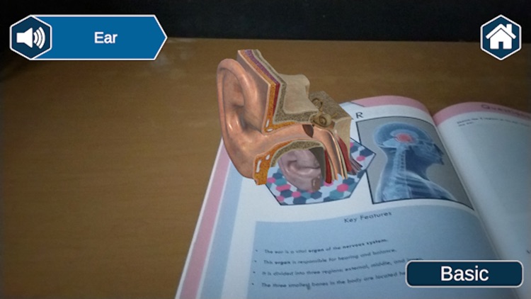 AR Lab Book: Vital Organs