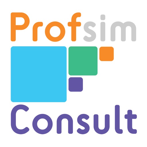 Profsim Consult