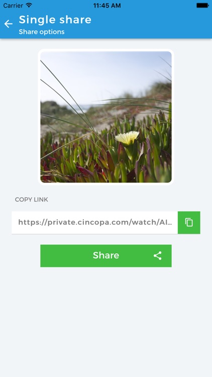 CincopaShare screenshot-4