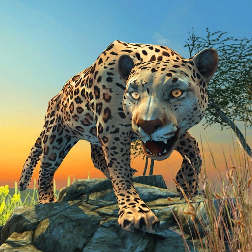 Clan Of Leopards