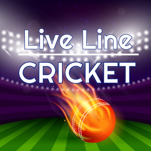 T20 Cricket Live Info IPL 2019 Icon
