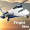 Flight Sim 2020