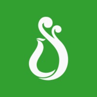 常春藤辅导 pour PC
