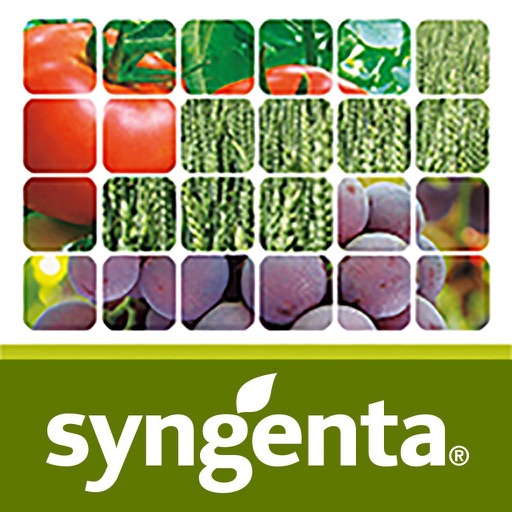 Syngenta Chile