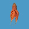 Quirky Carrots Memory Game