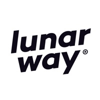 Lunar Way - Budget & Opsparing