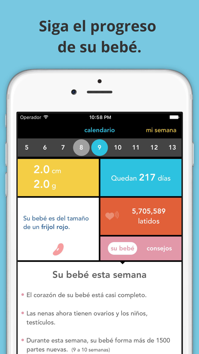 Guía de embarazo See Baby