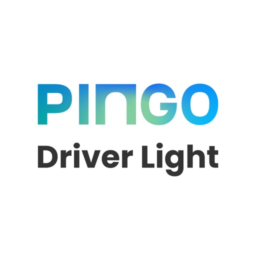 Pingo Driver Light By The Routing Company