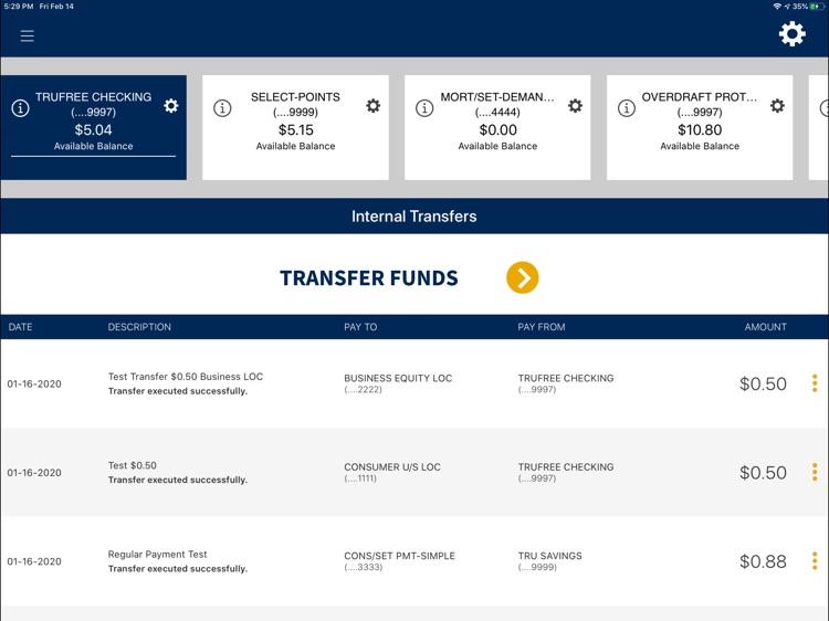 TruPoint Bank for iPad screenshot-3