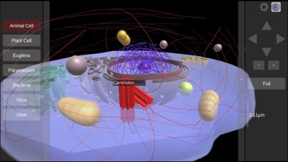 3D Virtual Cell screenshot 2