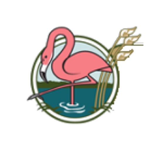 Flamingo Lake icon
