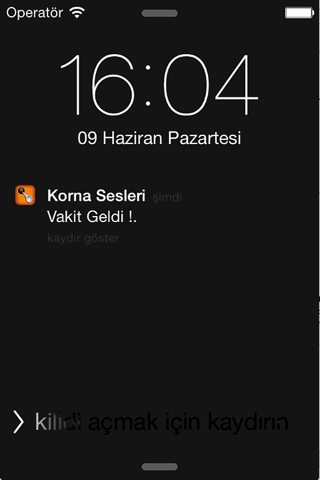Korna Sesleri - náhled