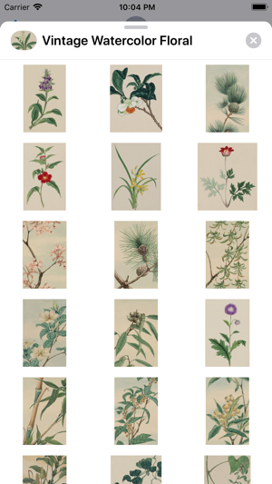 Floral Vintage Watercolors(圖3)-速報App