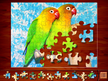 Tips and Tricks for Jigsaw Puzzles‪⁺‬