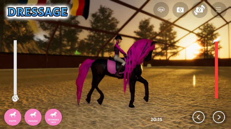 Horse Academy screenshot-9