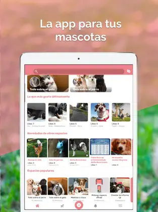 Imágen 1 Midoog - La app de tu mascota iphone