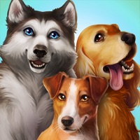 Contact Dog Hotel - Play with dogs
