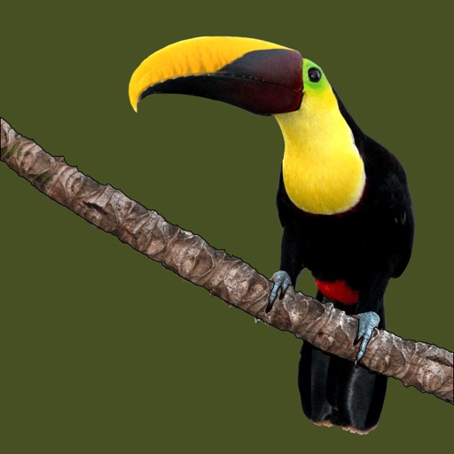 Animals of Costa Rica iOS App