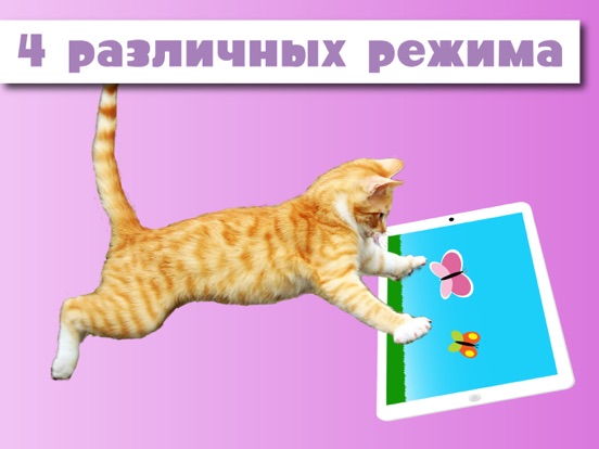 Скачать HappyCats игра для кошек