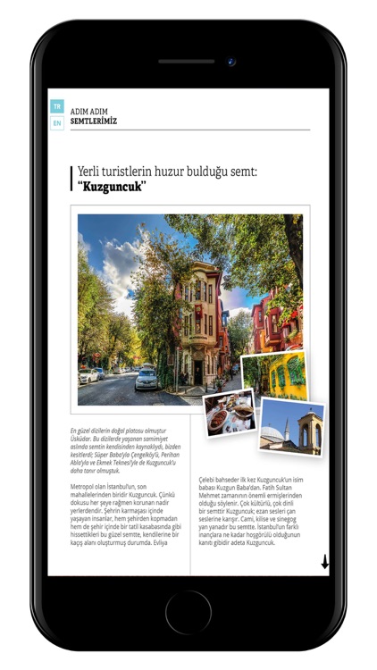 Tourist screenshot-3