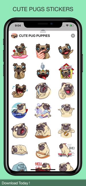 CUTE PUG PUPPIES(圖2)-速報App