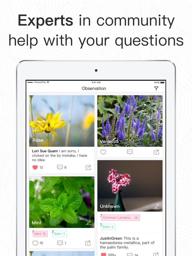 Picturethis Plant Identifier On The Picturethis Plant Identifier On The