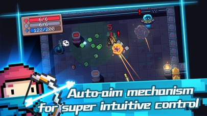 Screenshot from Soul Knight