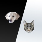 Cats and Dogs Stickers for Messages