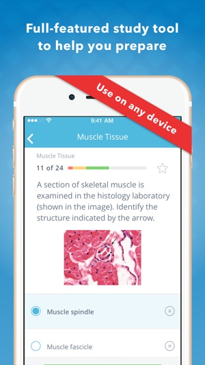 Histology: USMLE Q&A Review(圖3)-速報App