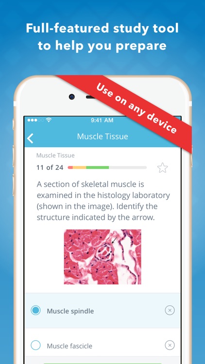 Histology: USMLE Q&A Review