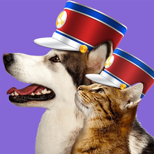 Pet Parade Cutest Dogs vs Cats