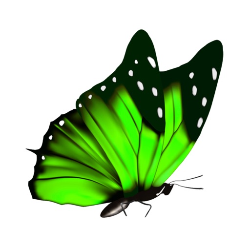 Butterflies Stickers Pro icon
