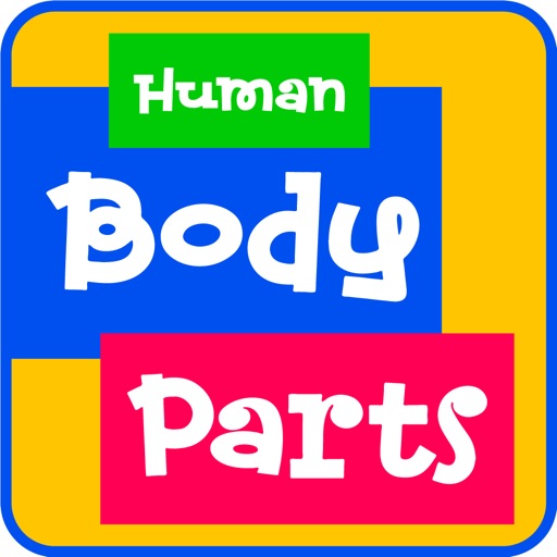 Learning Human Body Parts Icon