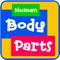 A fun learning and full of activity app for preschoolers, it's body parts app learning for kids