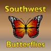 Butterflies of the Southwest